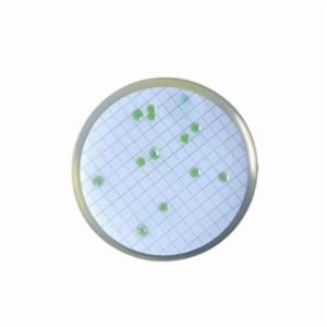 Biokar CN Agar for Pseudomonas - Dehydrated base medium (with Cetrimide and Nalidixic acid without glycerol) 500 grams BK165HA