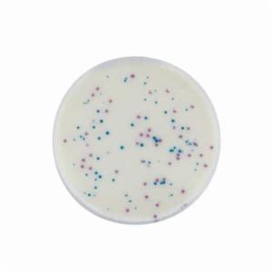 Biokar IRIS Salmonella® Agar - Pre-poured medium 120 plates Ø 90 mm BM16108