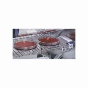 Cole-Parmer SHELF SS MESH HB-3D 39455-22 Cole-Parmer SHELF SS MESH HB-3D 39455-22