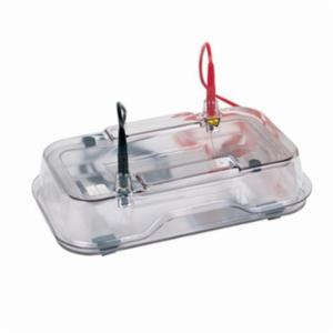 Hoefer Mini Horizontal Agarose Electrophoresis Unit (Basic Unit) HE33B Hoefer Mini Horizontal Agarose Electrophoresis Unit (Basic Unit) HE33B