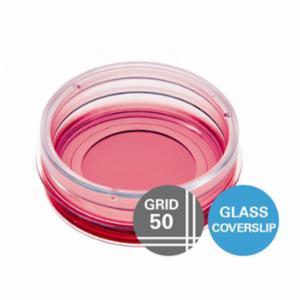 Ibidi µ-Dish 35 mm, high Grid-50 Glass Bottom 81148