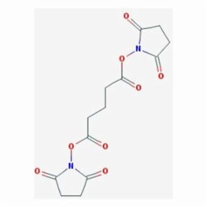 Santa Cruz DISUCCINIMIDYL GLUTARATE, AMBIENT FREIG, 500 MG SANTSC-285455A Santa Cruz DISUCCINIMIDYL GLUTARATE, AMBIENT FREIG, 500 MG SANTSC-285455A
