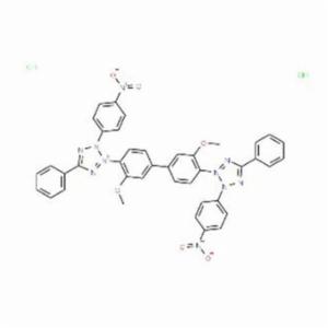 Santa Cruz P-NITROBLUE TETRAZOLIUM CHLORIDE, 5G SANTSC-296003A Santa Cruz P-NITROBLUE TETRAZOLIUM CHLORIDE, 5G SANTSC-296003A