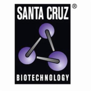 Santa Cruz MOUSE MONOCLONAL IGG2A OSTEOCALCIN (C-8), 1 EACH SANTSC-74495 Santa Cruz MOUSE MONOCLONAL IGG2A OSTEOCALCIN (C-8), 1 EACH SANTSC-74495
