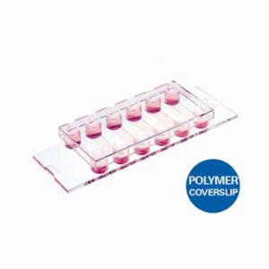 Ibidi , µ-Slide VI 0.4 Collagen I: #1.5 polymer coverslip, sterilized, individually packed, 80609