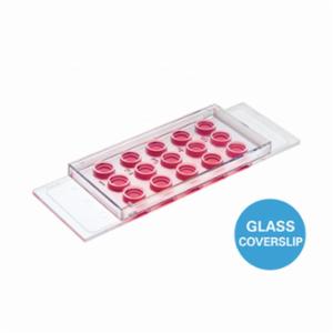 IBIDI µ-Slide 15 Well 3D Glass Bottom, Bulk Pack 90, 81507-90