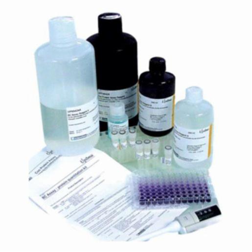 Advion BC Assay Protein Quantitation Kit, Sufficient Reagents For 125 Tests/Tube INCMUP40840B