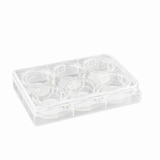 Insert Corn Corning Insert 24mm Transwell 0.4µm PC Membrane TC, 24 Items CORN3412 ...