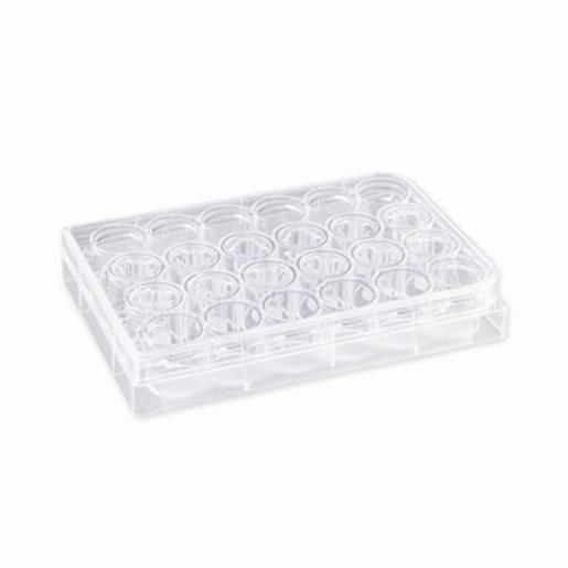 Insert Corn Corning Insert 6.5mm Transwell 3.0µm PC Membrane TC, 48 Items CORN3415 ...