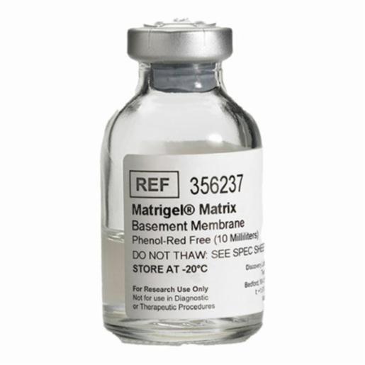 Corning Matrigel Phenol Red Free, 10 ml BDAA356237