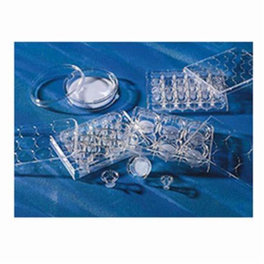 Insert Corn Corning Insert 6.5mm Transwell 8.0µm PC Membrane TC, 48 Items CORN3422 ...