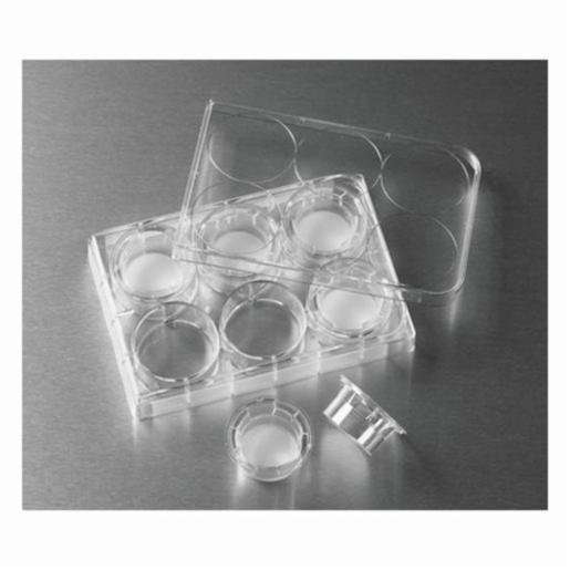 Insert Corn Corning Insert 6.5mm Transwell 0.4µm PES Membrane TC, 48 Items CORN3470 ...