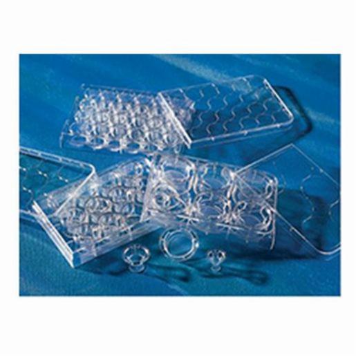 Insert Corn Corning Insert 6.5mm Transwell 3.0µm PES Membrane TC, 48 Items CORN3472 ...