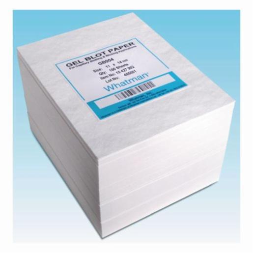 Cytiva Paper Gel-Blotting Sheets B003 100x100m, 50 Items WHAT10426880