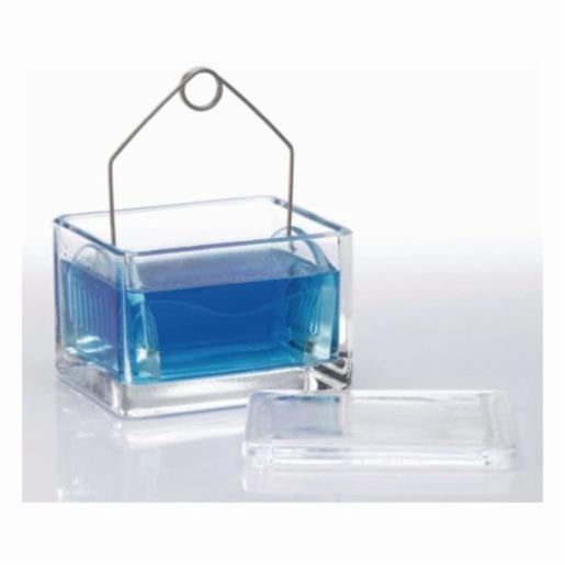 DWK Dish F.Staining 20 Slide Complete Glas, 6 Items WHEA900200