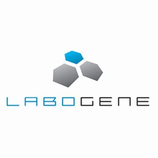 LaboGene Pipe Connection, Stainless Steel For Freeze Drying Flasks LABO7001200110