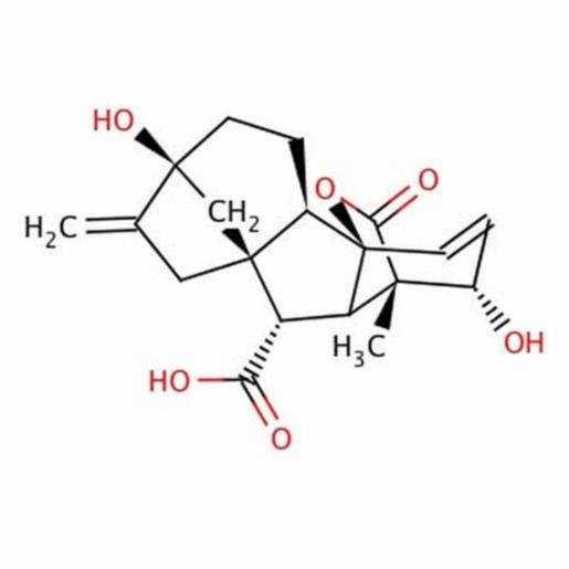 Santa Cruz GIBBERELLIC ACID, 5G SANTSC-257556B