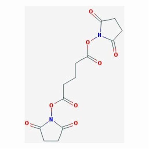 Santa Cruz DISUCCINIMIDYL GLUTARATE, AMBIENT FREIG, 500 MG SANTSC-285455A